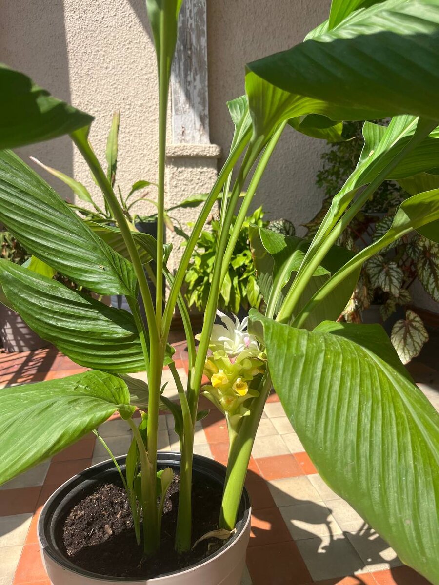    Фото: Telegram/Сочинский географ