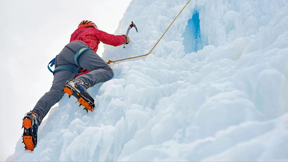    Фото: Joy_Studio/Shutterstock/Fotodom