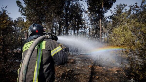    © МЧС России