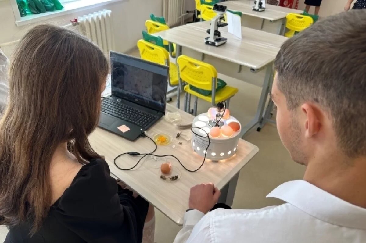    Новокузнецкие школьники теперь будут изучать птицеводство