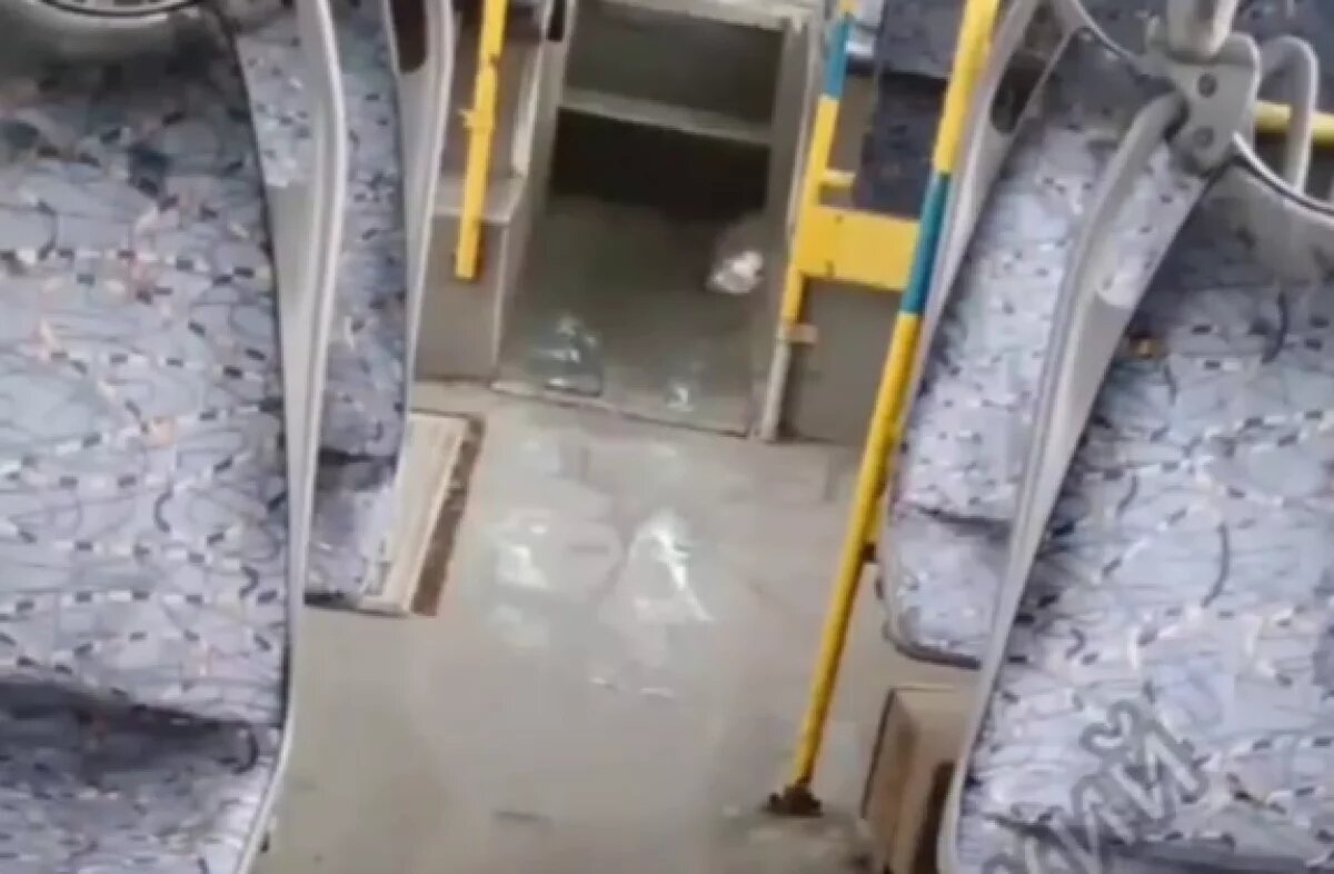    Потоп в городском транспорте сняли на видео жители Волжского