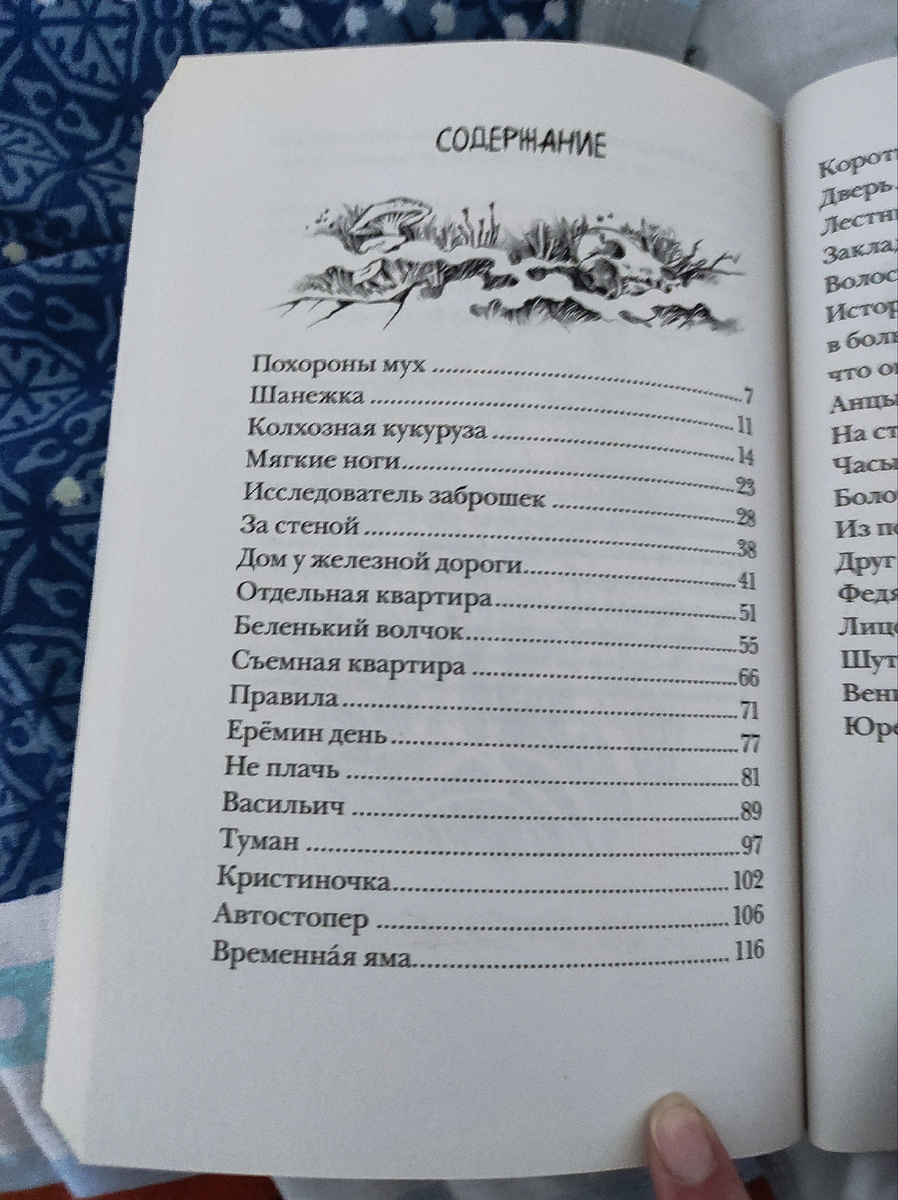 Личное фото автора