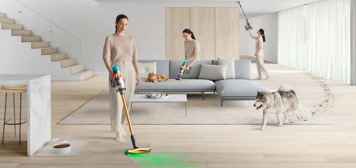 Источник изображения dyson.com
