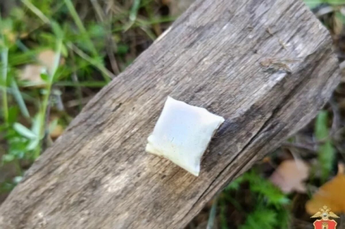    Супружеская пара из Кимр пыталась зарабатывать на наркотиках