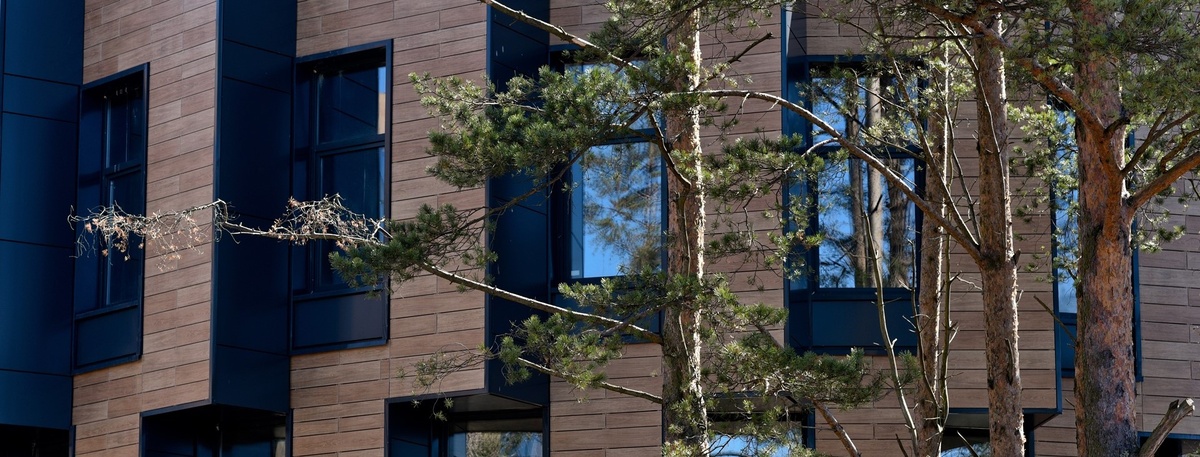    Автор фото: Сергей Ермохин / "ДП"