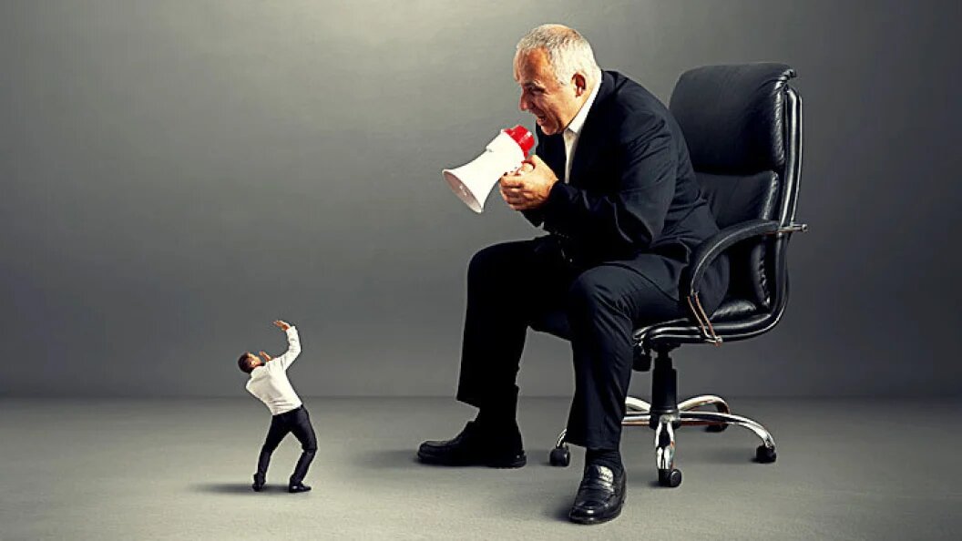    ФОТО: ARTFAMILY / SHUTTERSTOCK.COM