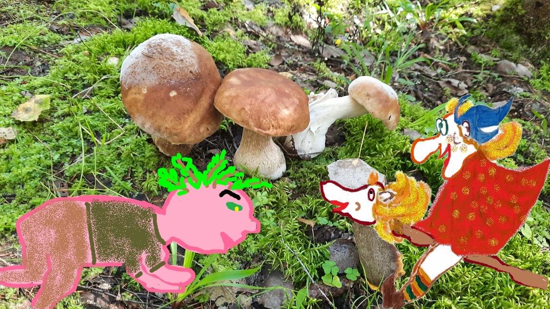 рисунок и фото автора, уже не серчайте! Как смогла