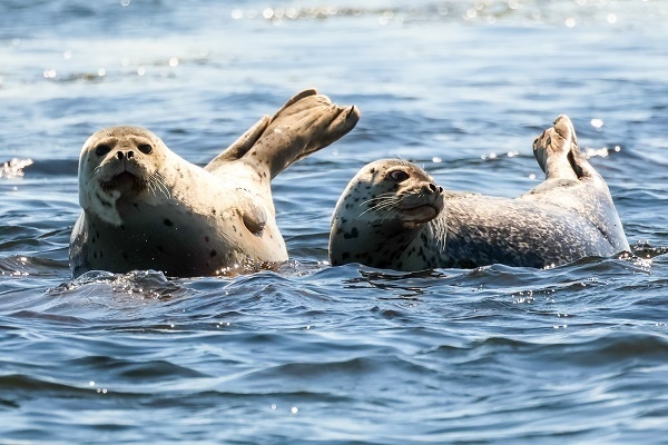 Фото: Юрий Смитюк/ТАСС