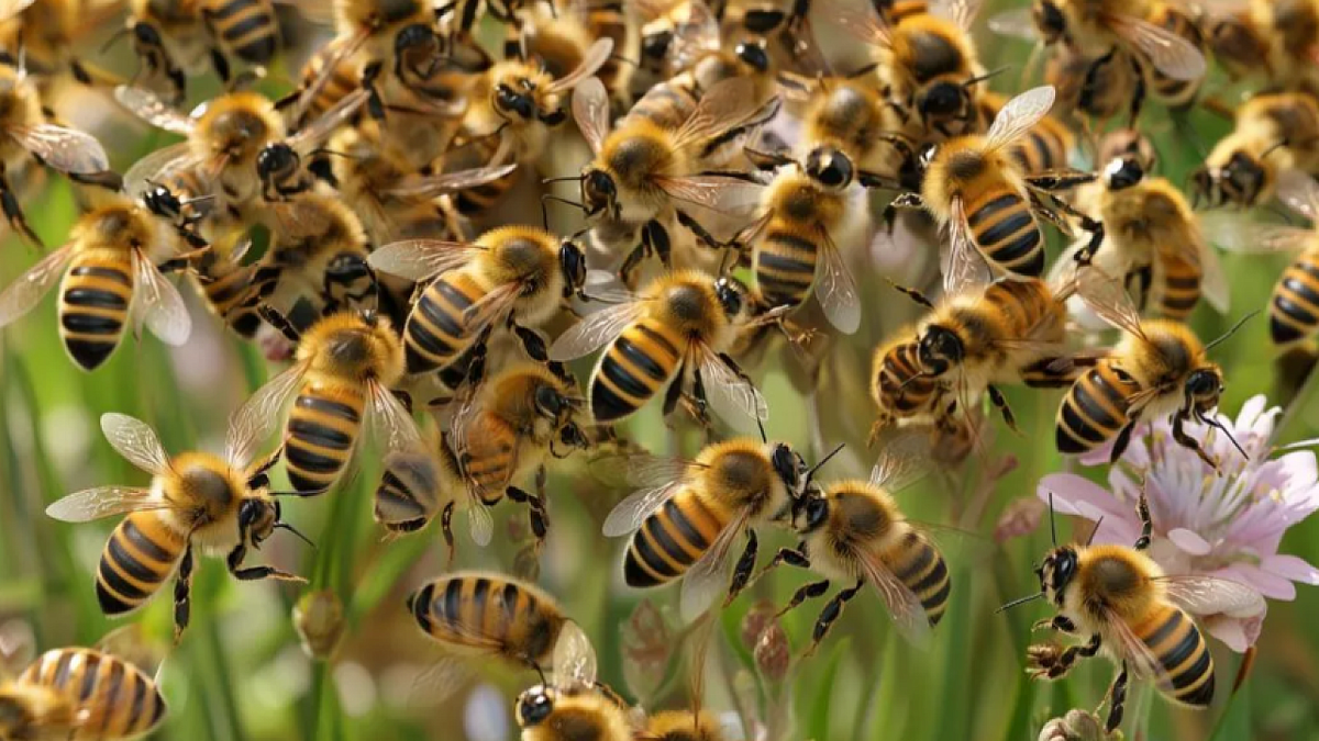    Изображение создано с помощью ИИ