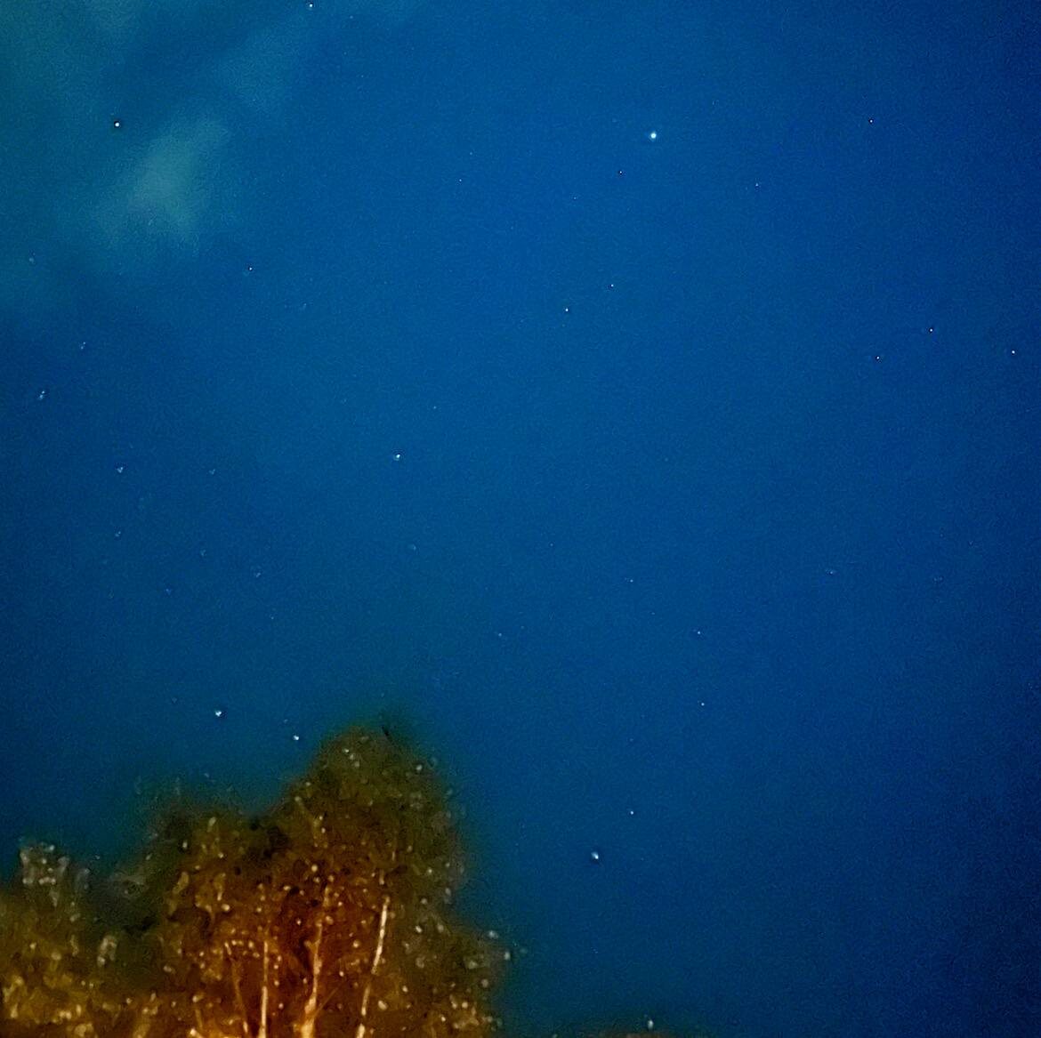 фото с тг канала Е Иолтуховской