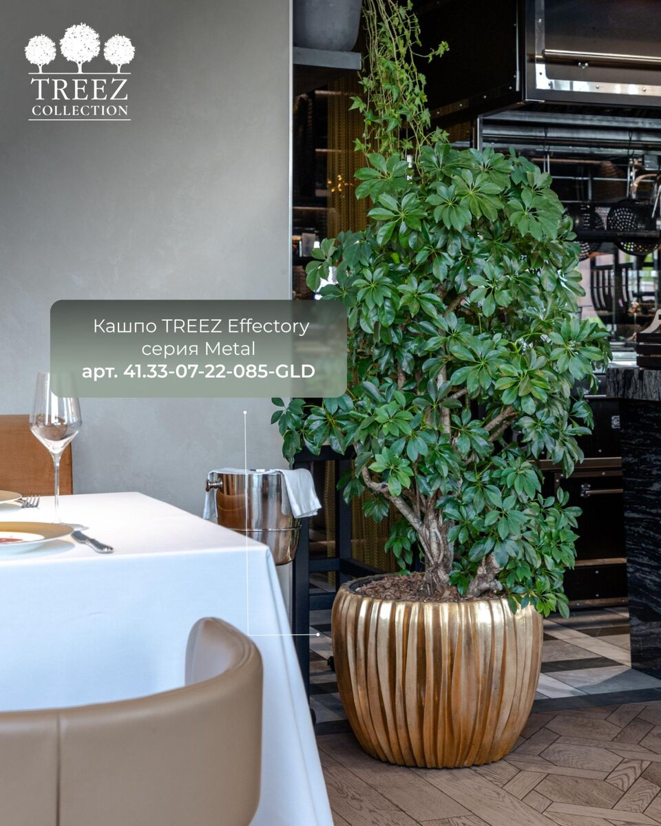 Кашпо TREEZ Collection