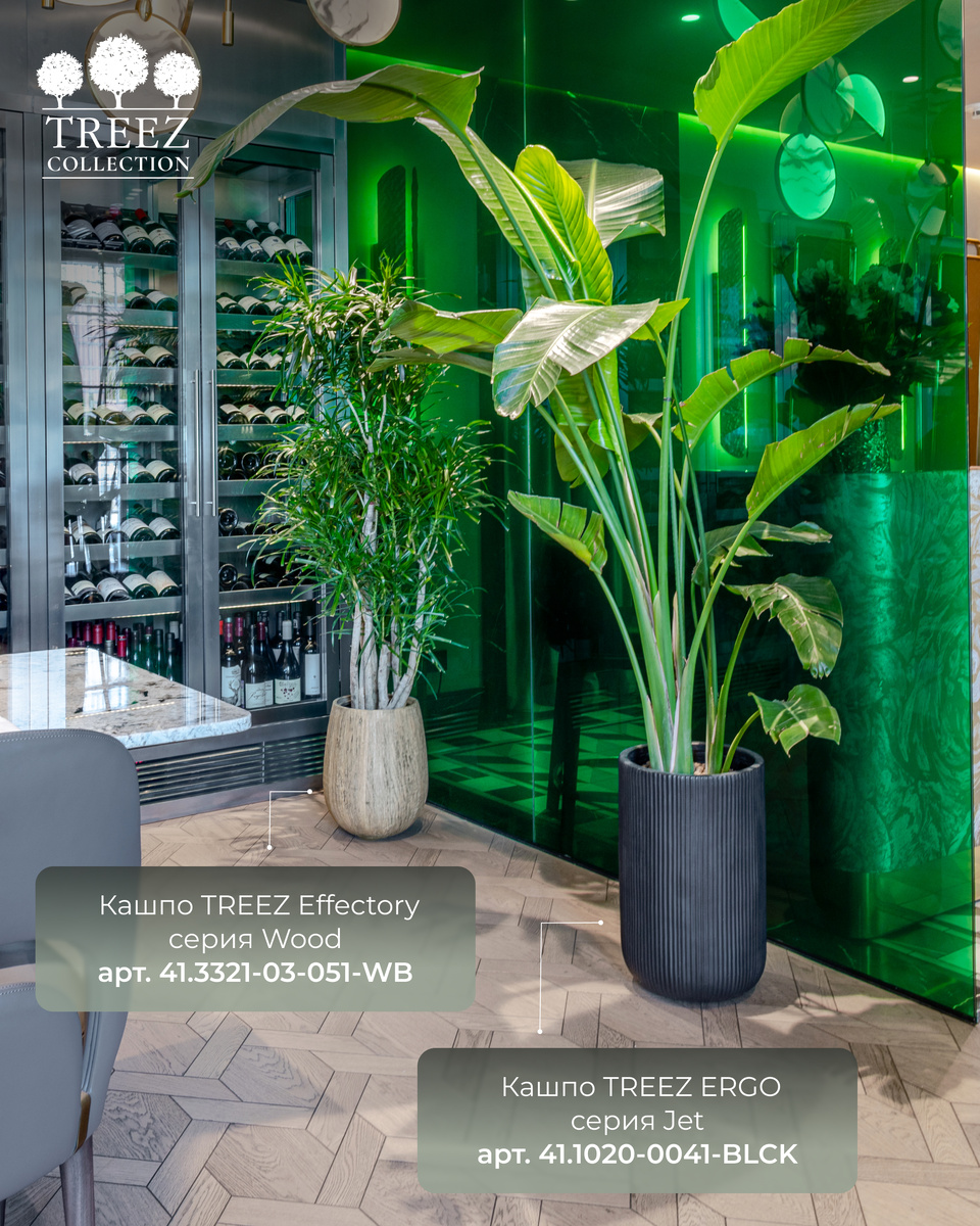 Кашпо TREEZ Collection