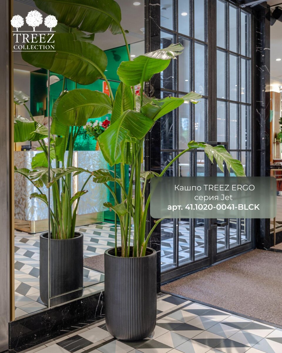 Кашпо TREEZ Collection