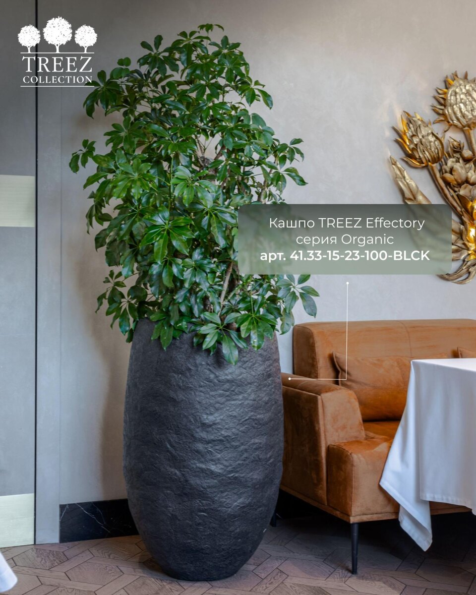 Кашпо TREEZ Collection