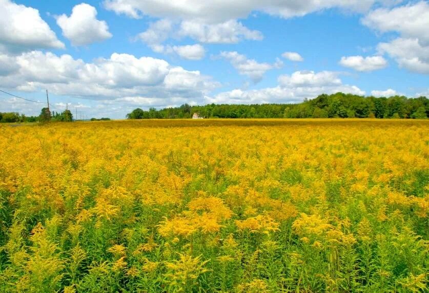 Источник фото: istockphoto.com