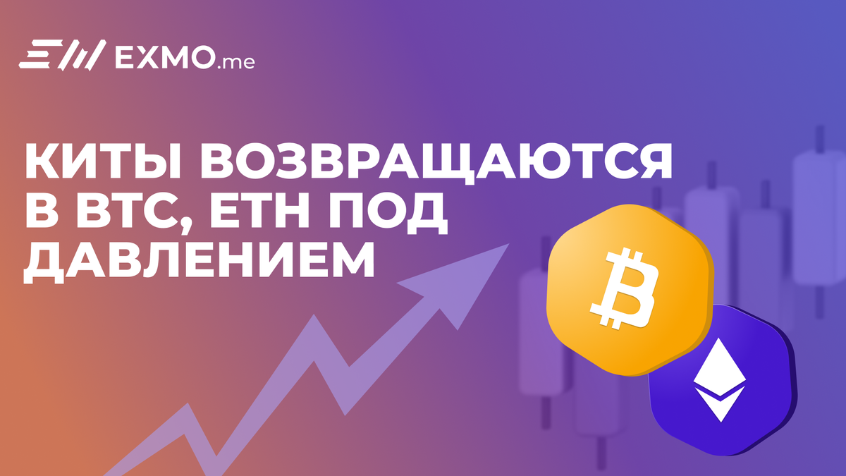 Разбираем главные события недели: рост интереса институционалов к биткоину, выводы ETH с бирж, дебют WLFI и обновлённая регуляторная повестка.
