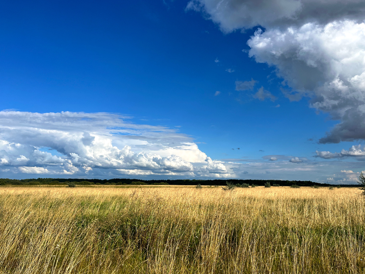 Август 2025. Ульяновской область, с. Камышовка