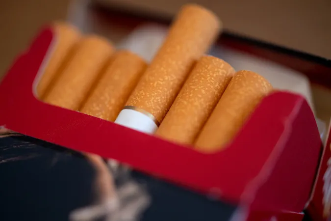 Фото: Sven Hoppe/dpa/picture-alliance
