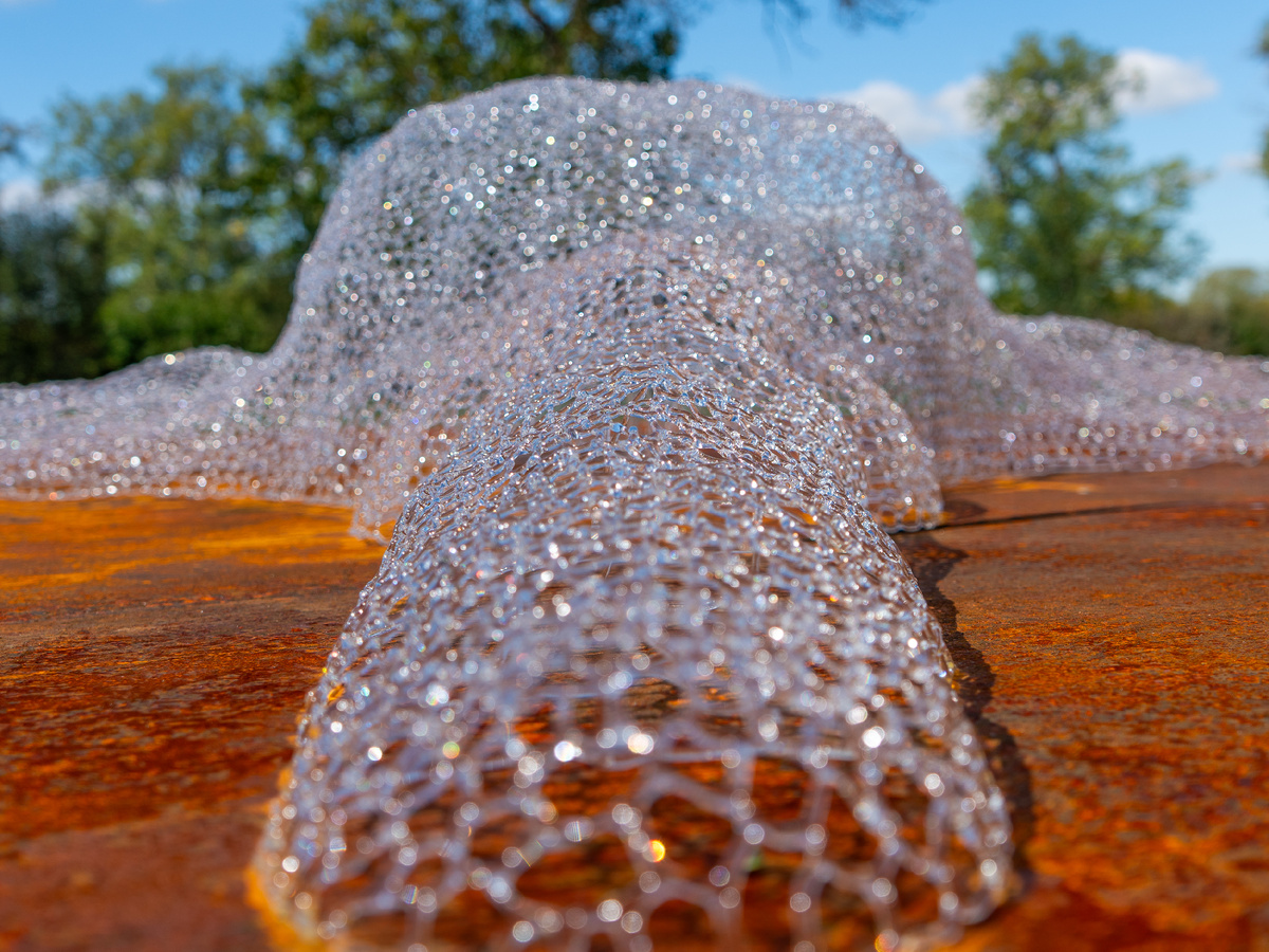 Фото: ГМЗ «Царское Село», Светлана Гриб