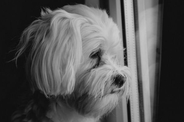     Bacila Vlad/Unsplash