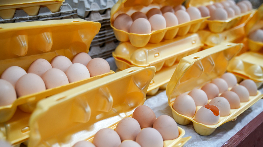    Фото: ИЗВЕСТИЯ/Сергей Лантюхов