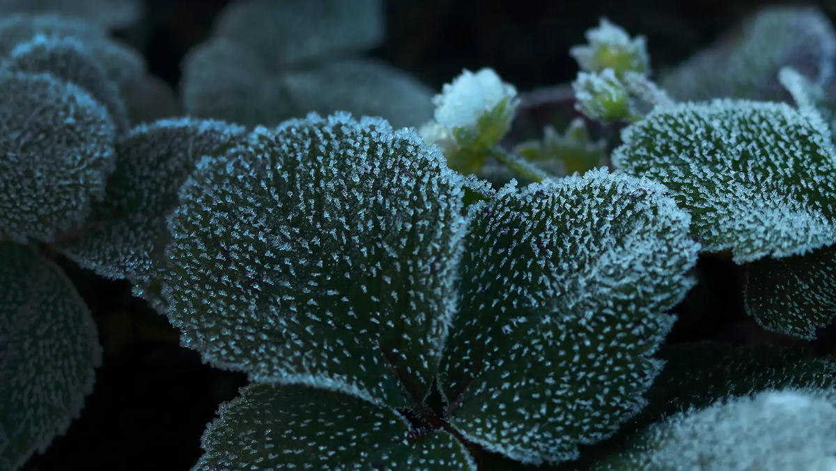 Источник: shutterstock.com