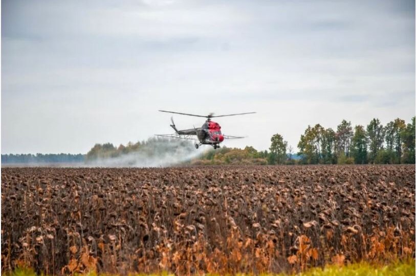 Десикация посевов: ускоряем эффективно и недорого