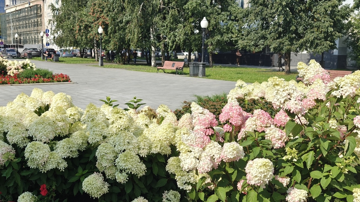 Екатеринбург. Фото автора.