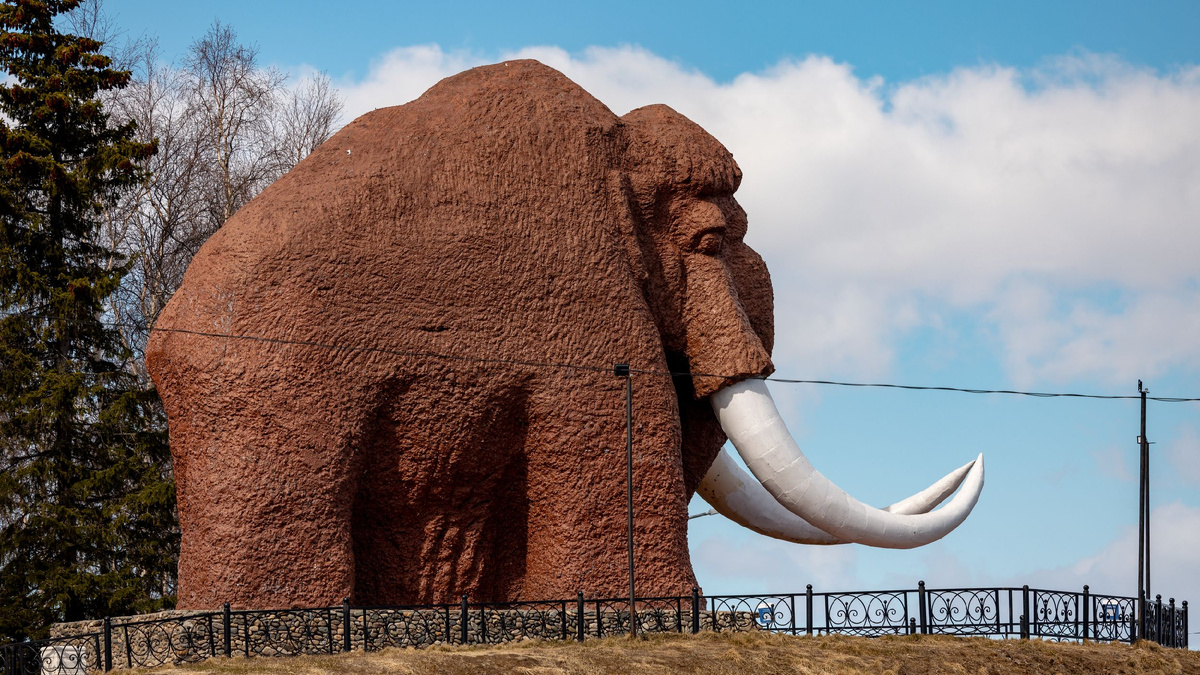 Автор: Сергей Зубков. Источник: АНО "Ямал-Медиа"