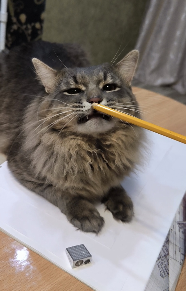 Фотографии "шефа" в статье авторские... 