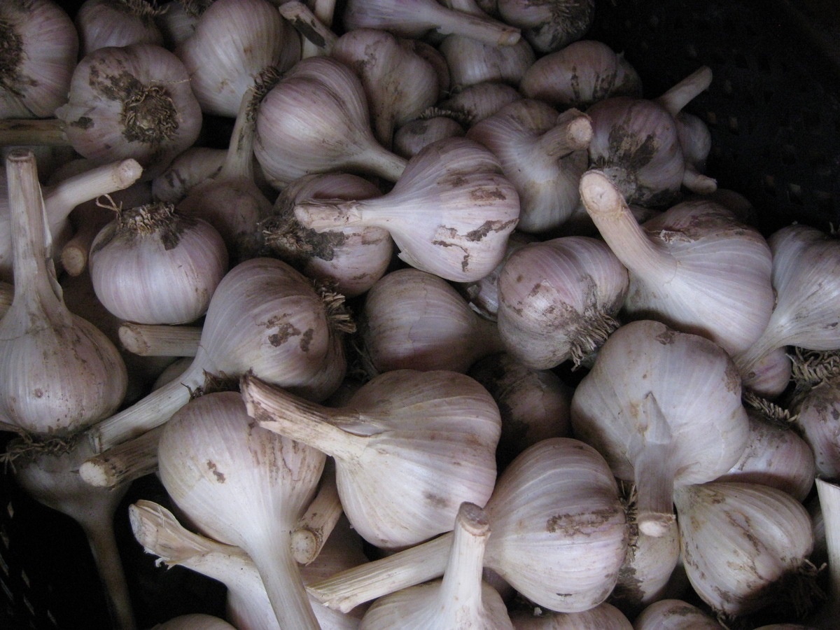 Авторское фото