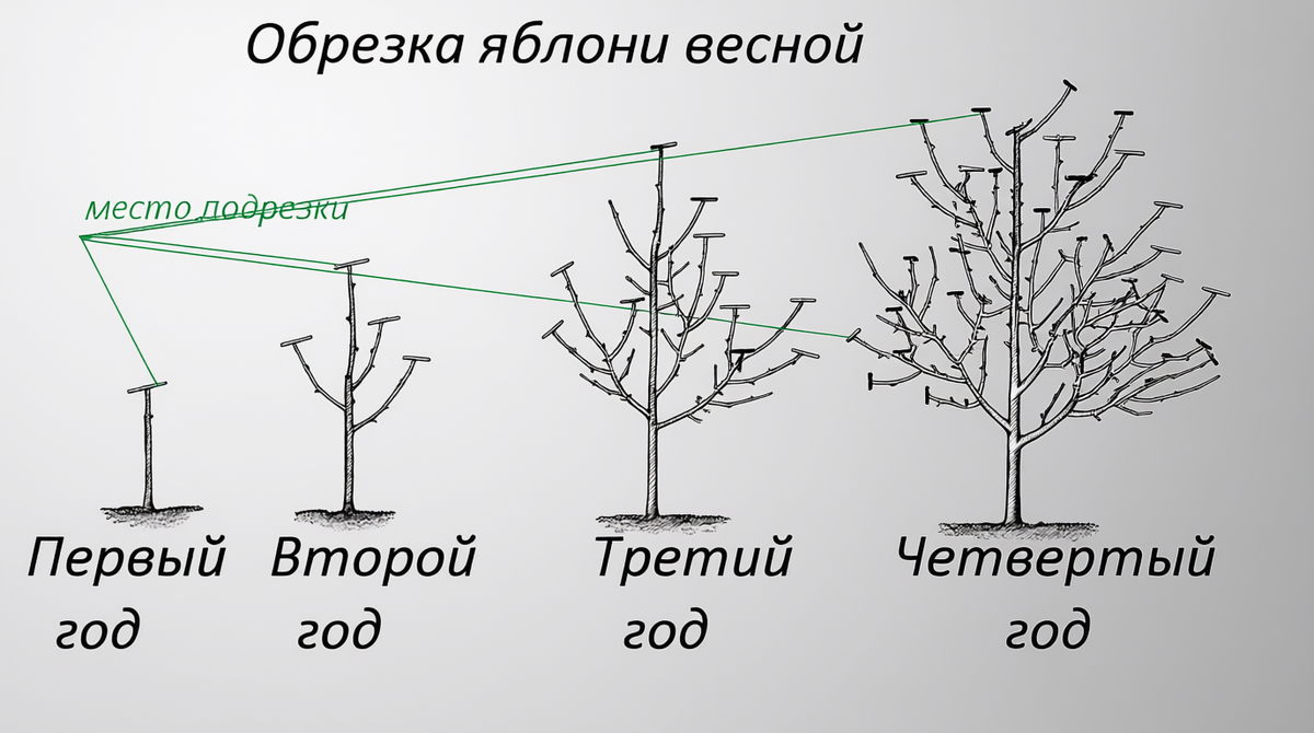 Полезная схема, сохраните чтобы не потерять