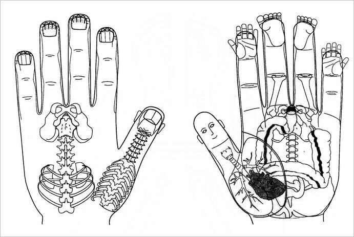 мини проекция тела - в кистях рук по суджок