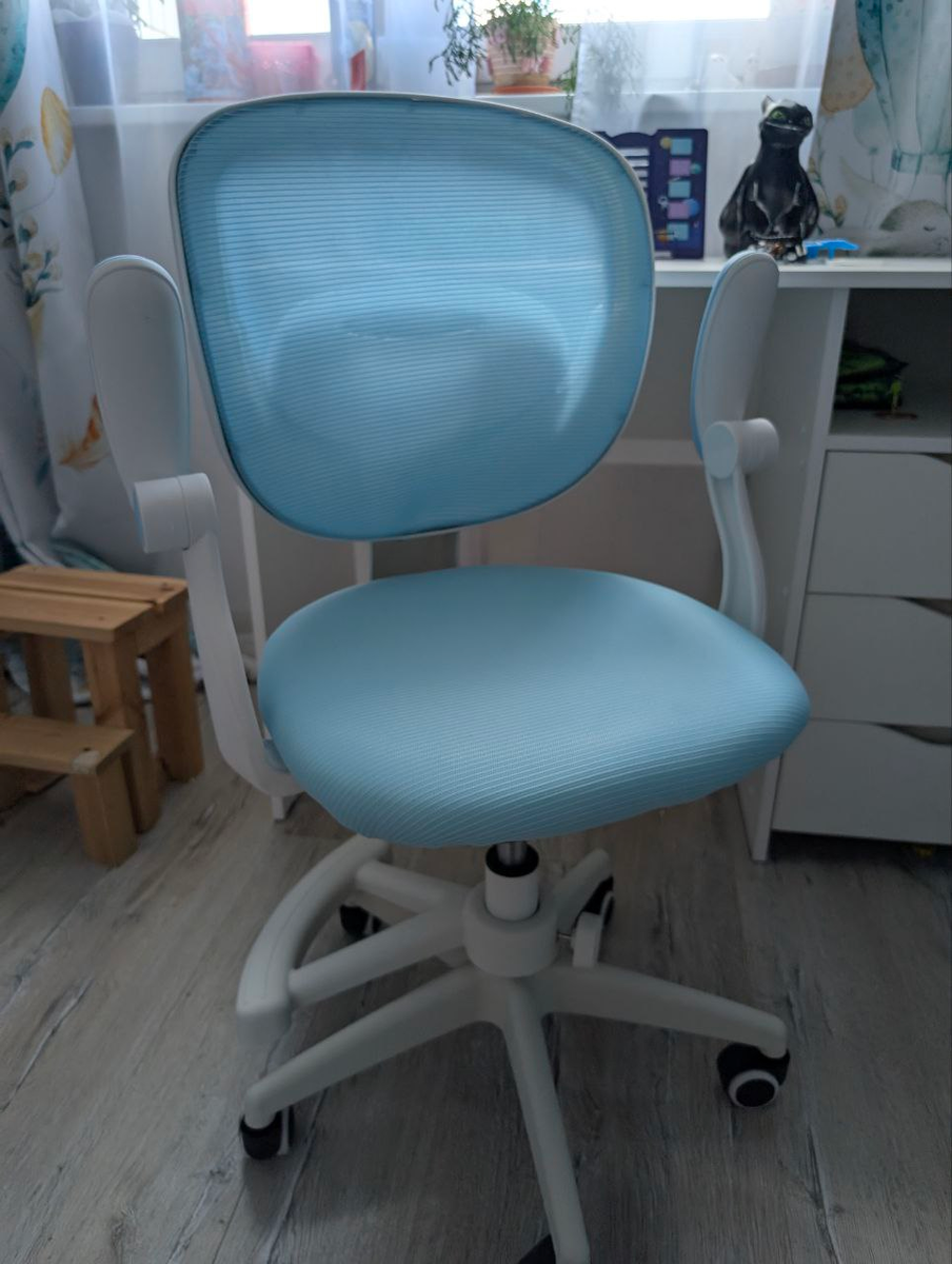 к школе готовы