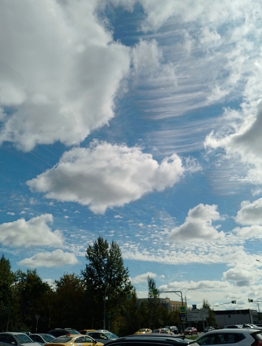 Фото автора.