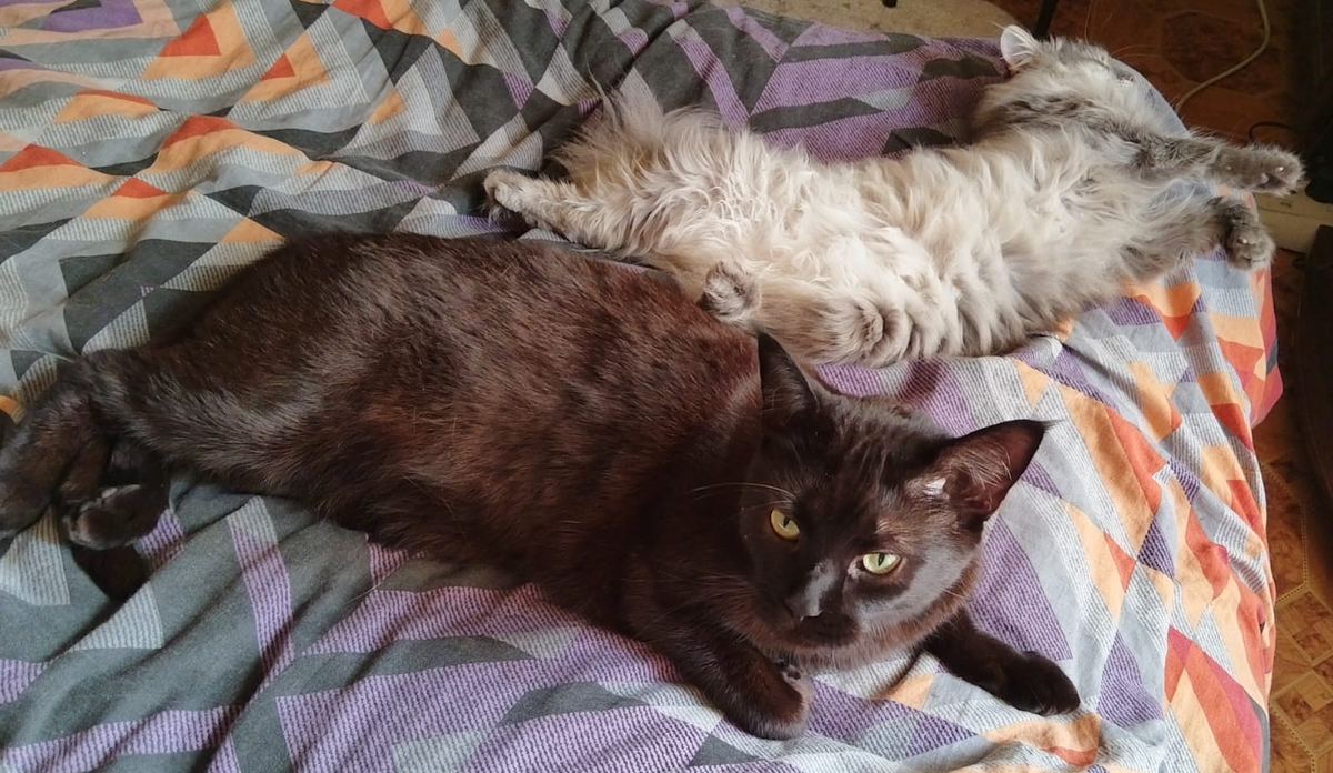 Фото из личного архива.