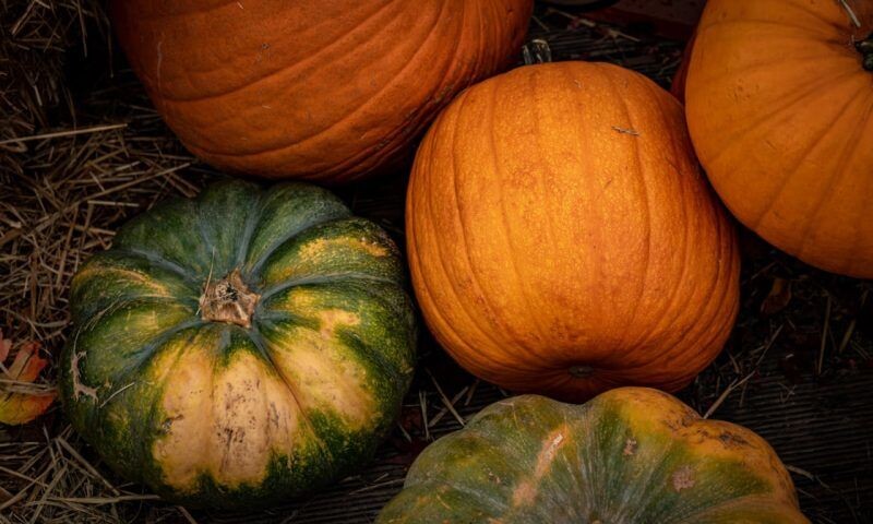    Фото freepik.com