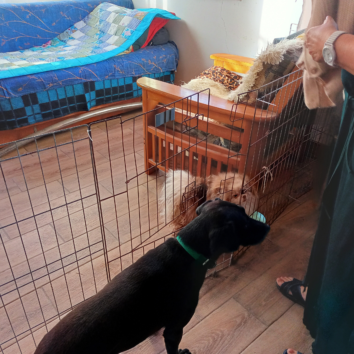 А Луна вышла. Но к ней все равно не пускают