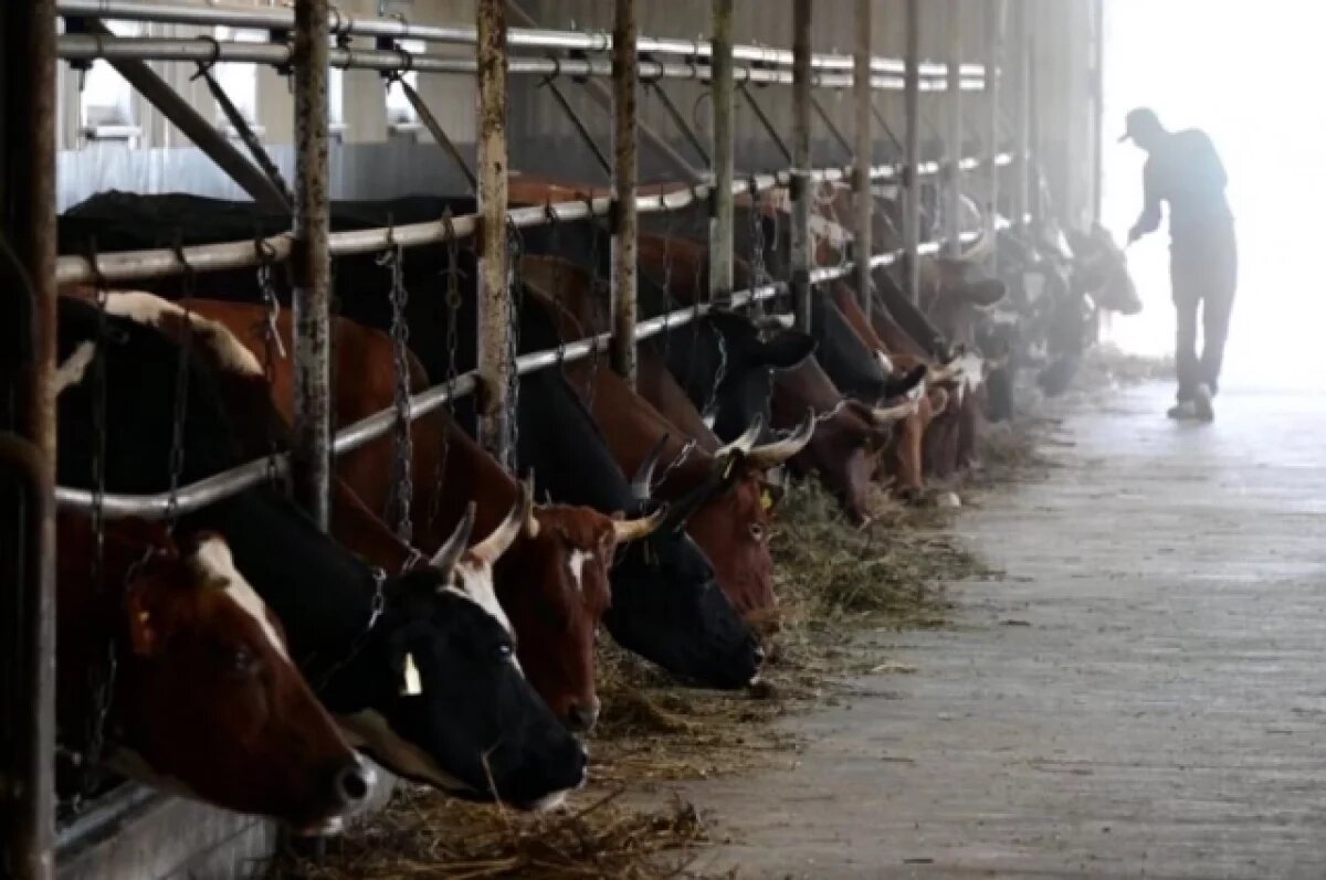    На Урале молодые специалисты-аграрии смогут получить подъёмные