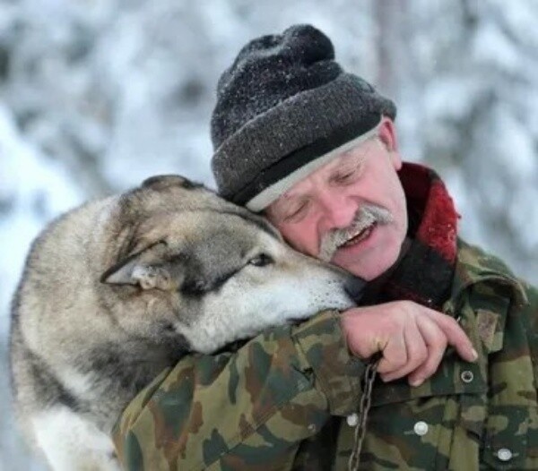 Фото из Яндекса