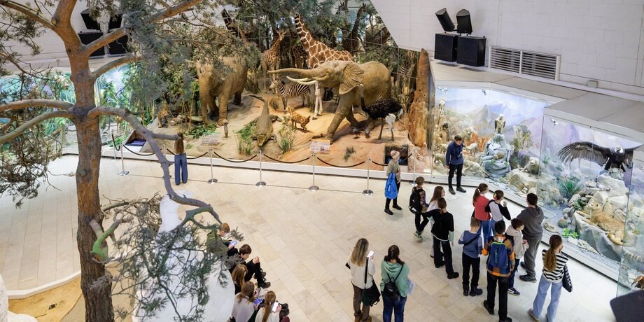    Фото: портал мэра и правительства Москвы/Сосницкий Олег