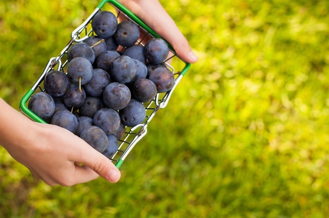 Личное фото