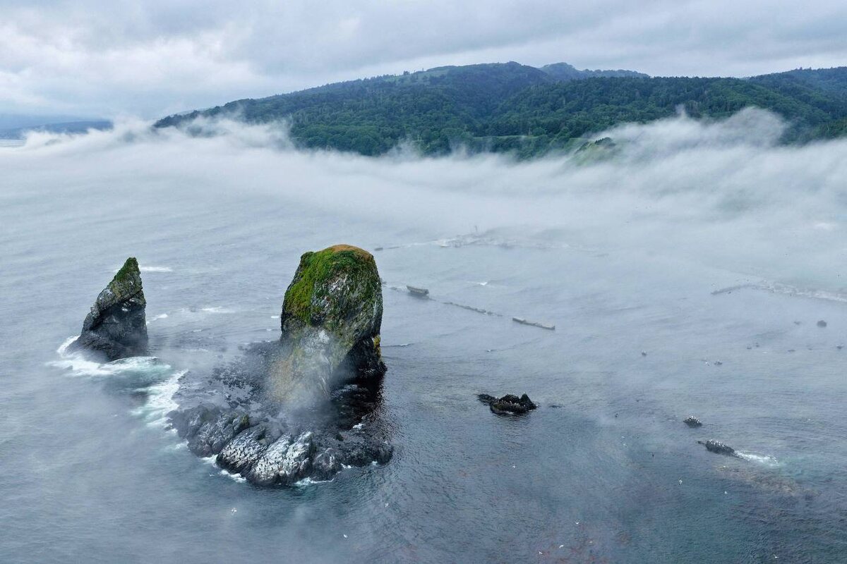 Фото: Биостанция Анива