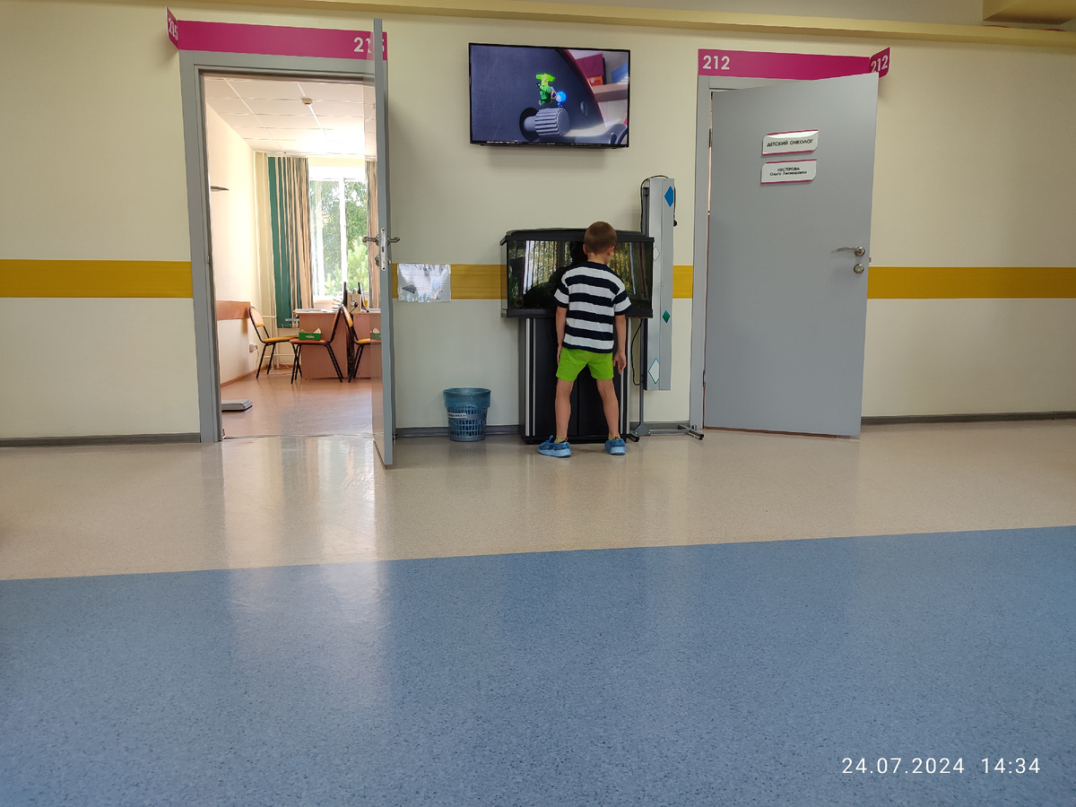 Вадюха и аквариум, прошлый год