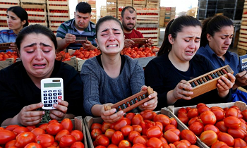 Из цитируемого источника