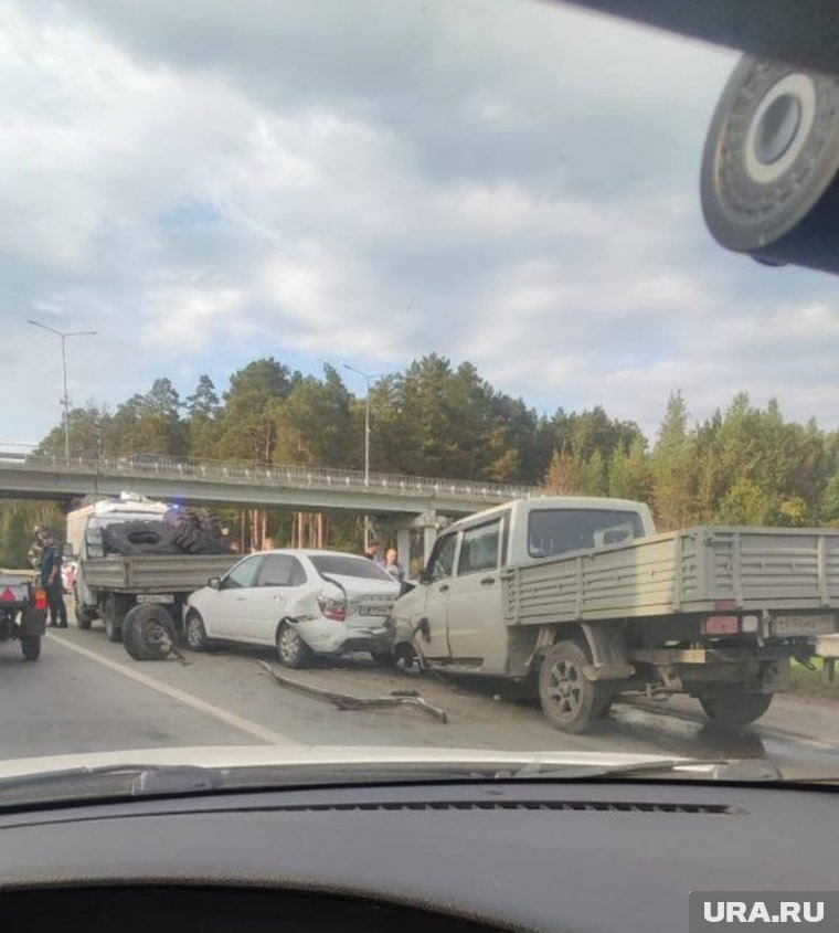   очевидец