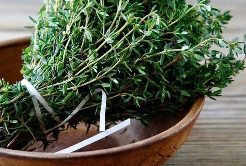 Зелень в блюдах: какую выбрать, куда добавлять?