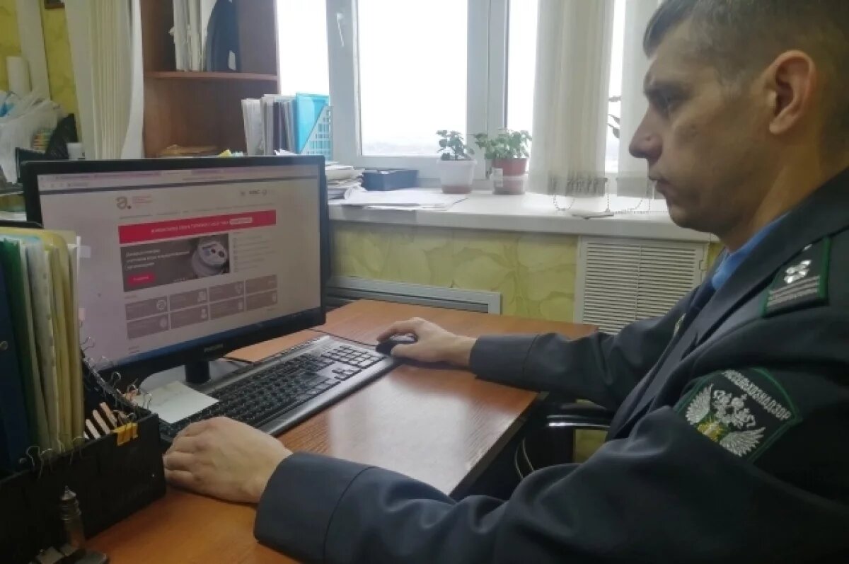    Ульяновские аграрии неправильно задекларировали 130 тысяч тонн зерна