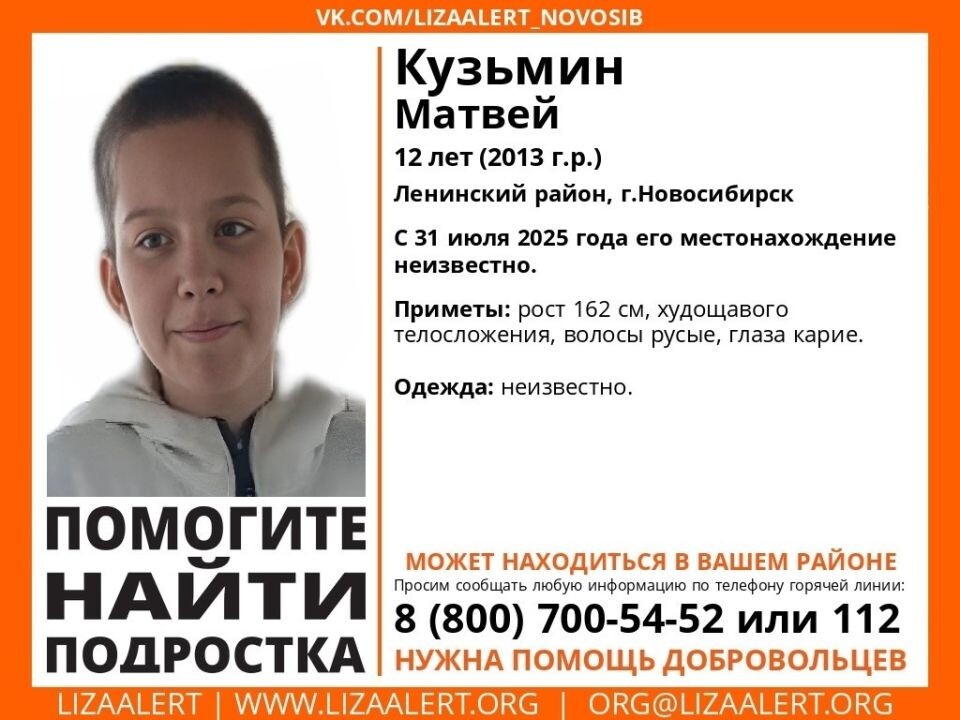    Ориентировка. Источник: Поисковый отряд "ЛизаАлерт" Новосибирской области