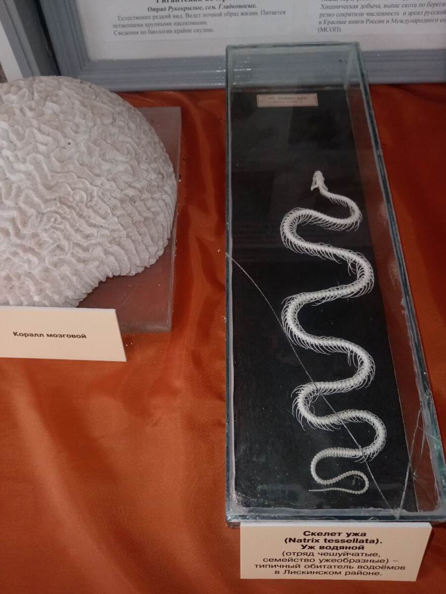 Вот такое интересное попалось. Листайте.